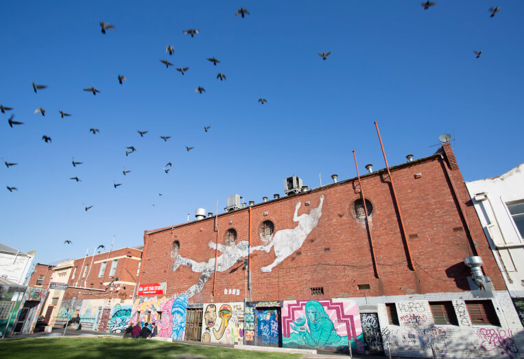 image_maddern_square